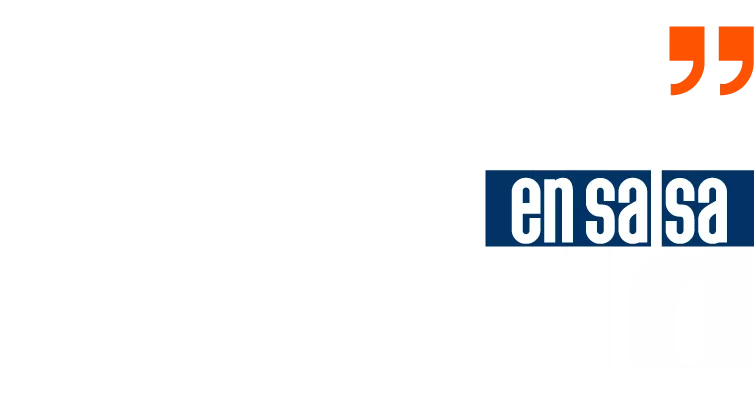 Lengua en salsa